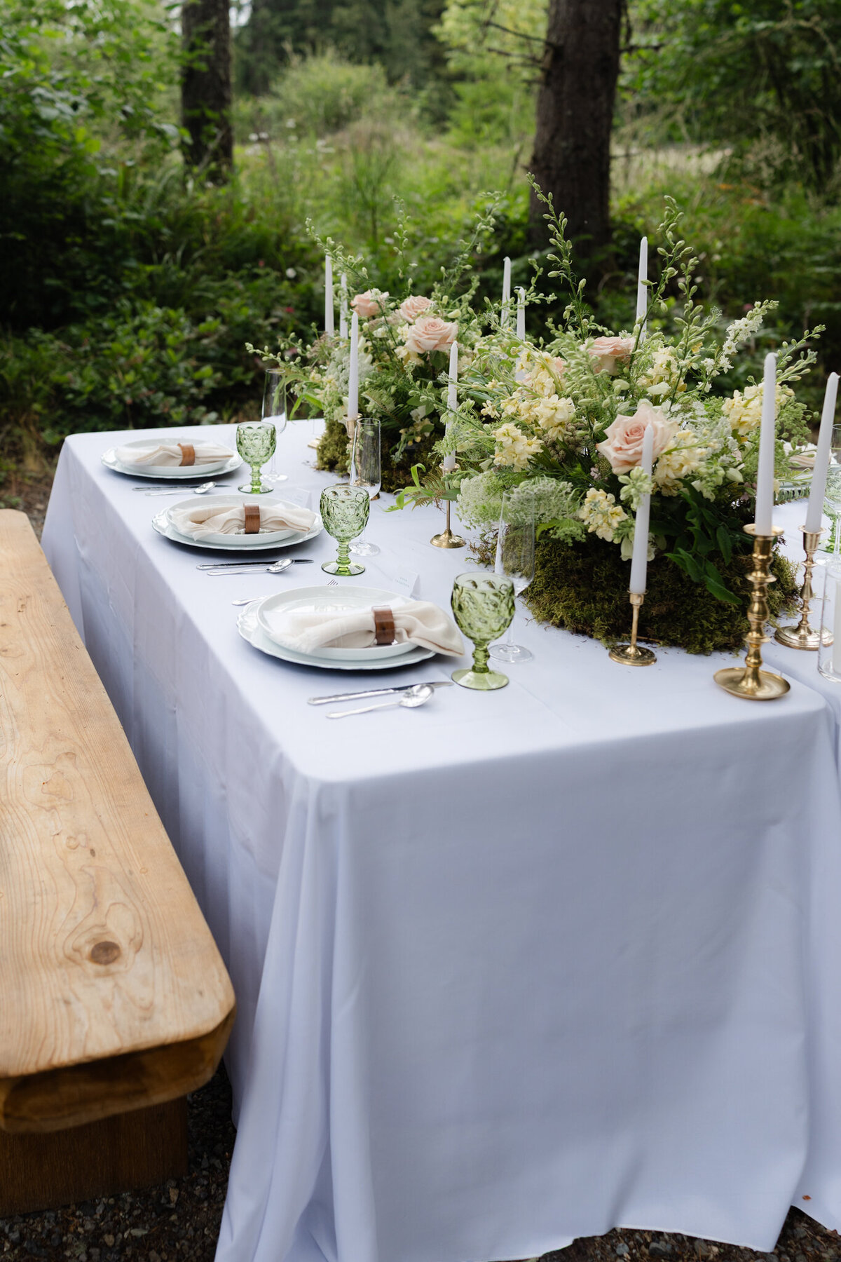 Two Frog Bog_Lauren New Photography-1