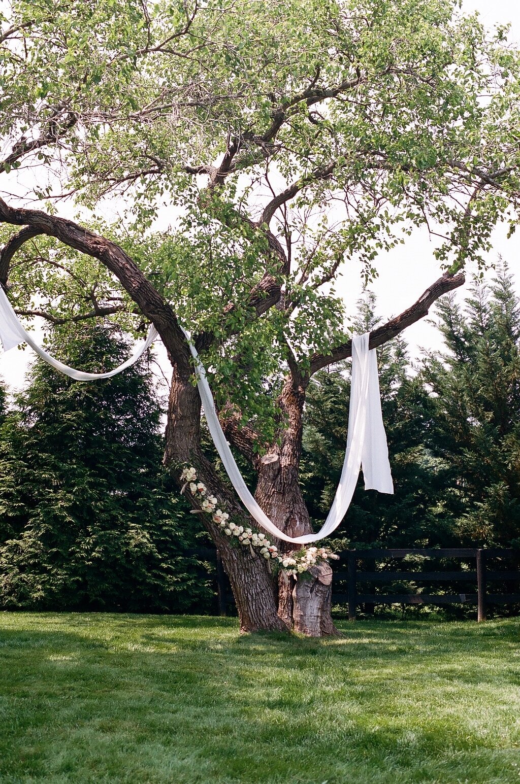 documentary wedding photographer maine
