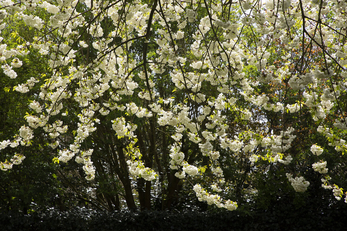 Quaives.Nature-VillageShoot_May2023-4