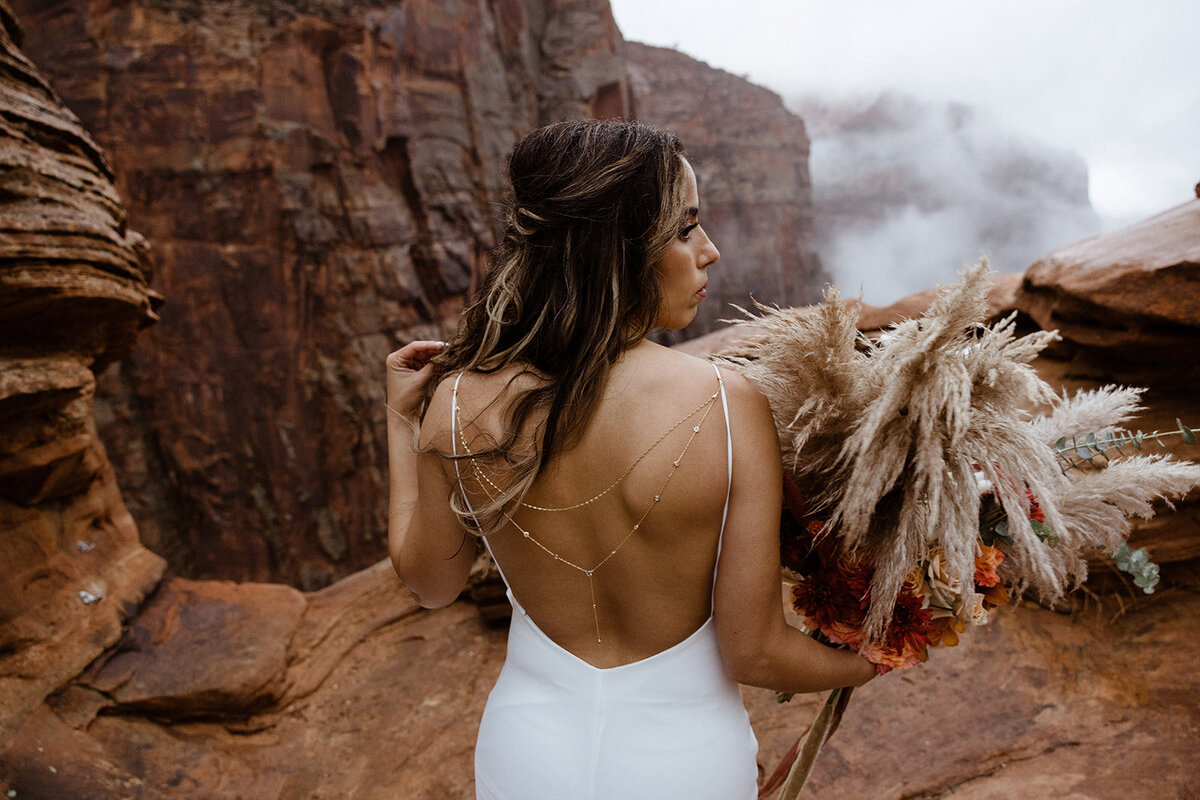 ZionSnowCanyon-dallinhassard-1462