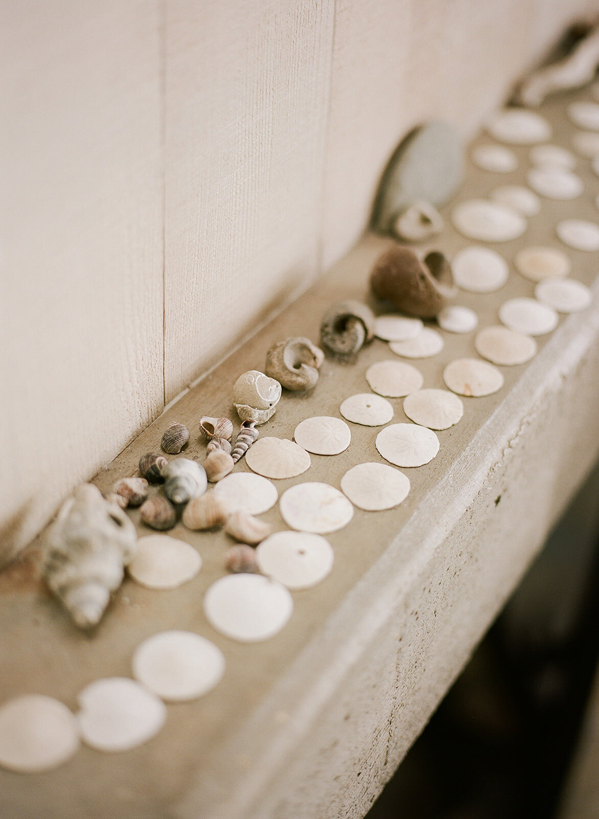 stinson-beach-backyard-wedding-planning-and-design-jacinda-weddings-and-events-03