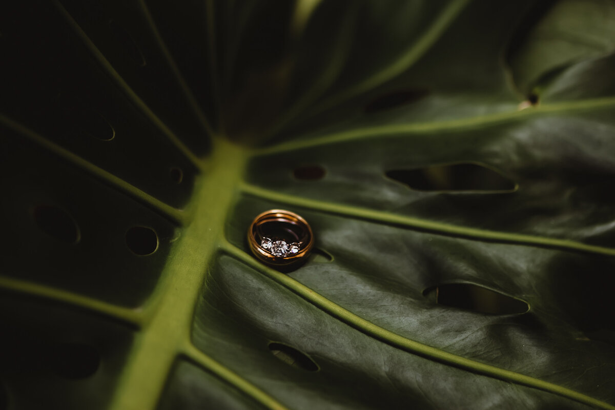 RINGS IN MEXICO