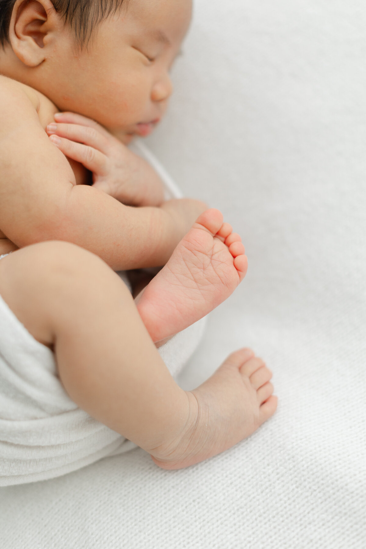 Philadelphia newborn portraits - 7