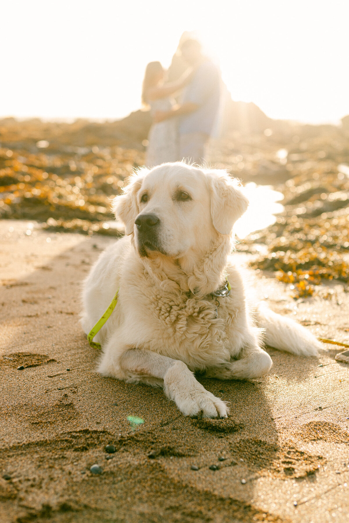 Wedding-Photographer-Cornwall-Bude12