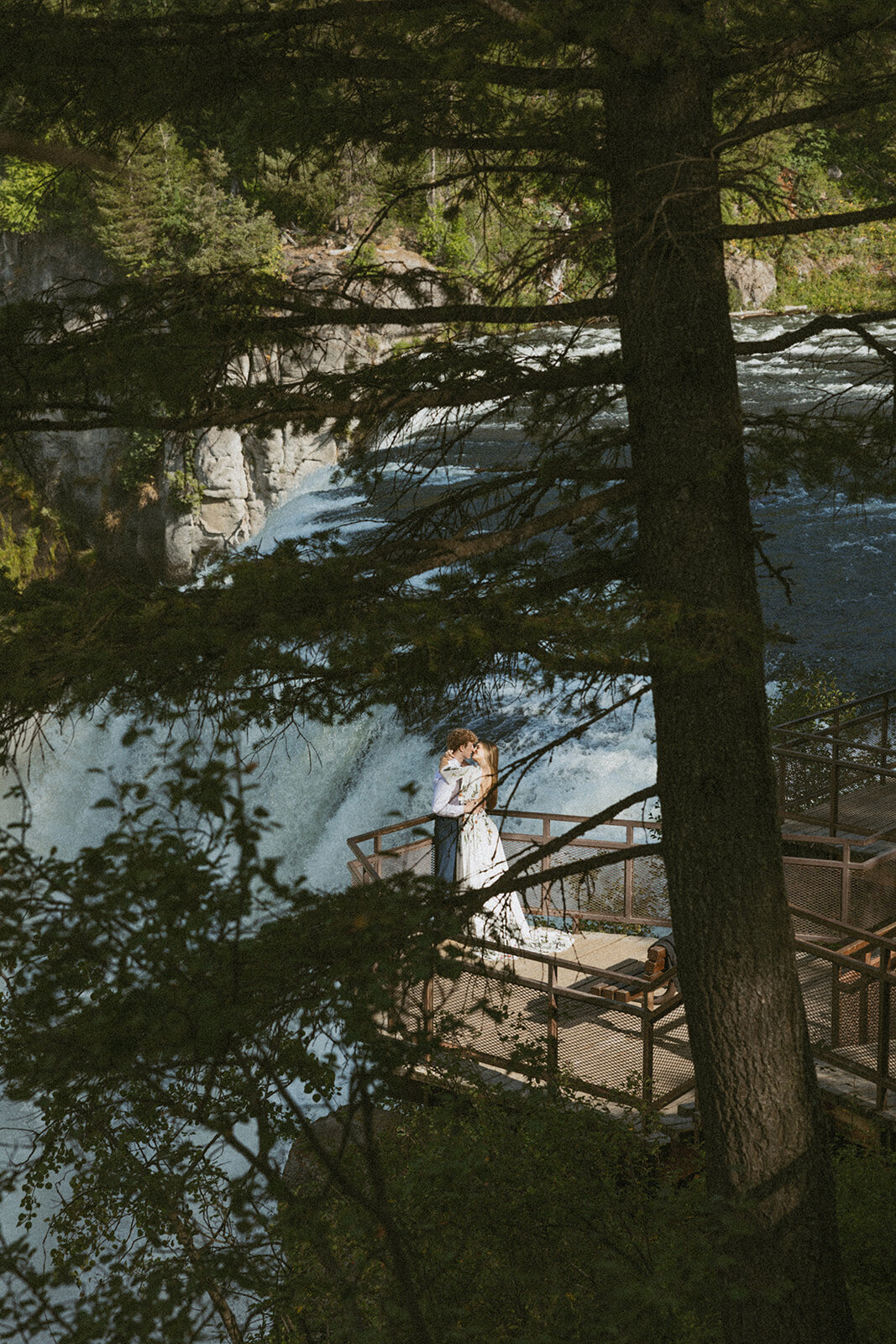 tanya-davids-photo-film-mesa-falls-yellowstone-rexburg-island-park-destination-storytelling-documentary-wedding-elopement-phototgrapher-idaho-69