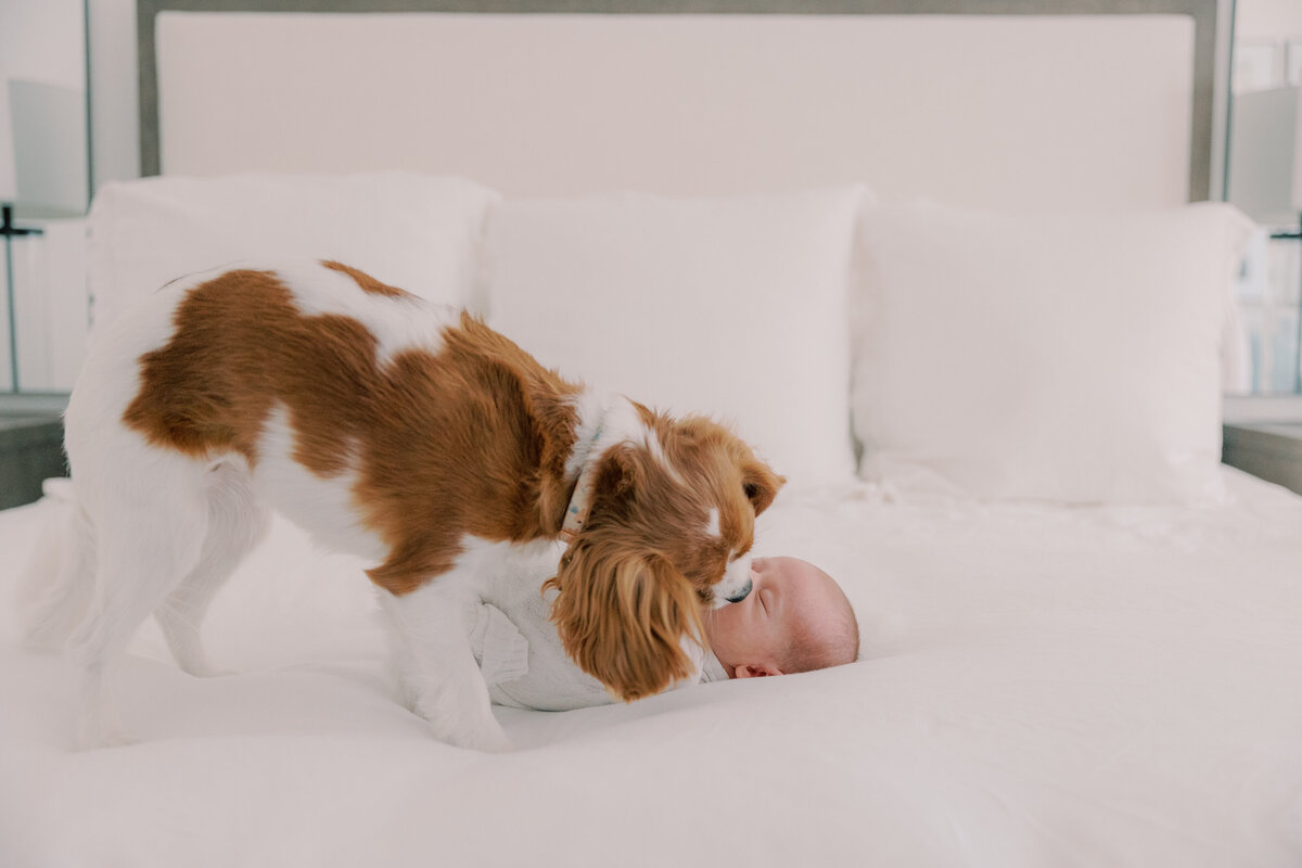 Phoenix Newborn Photographer-57