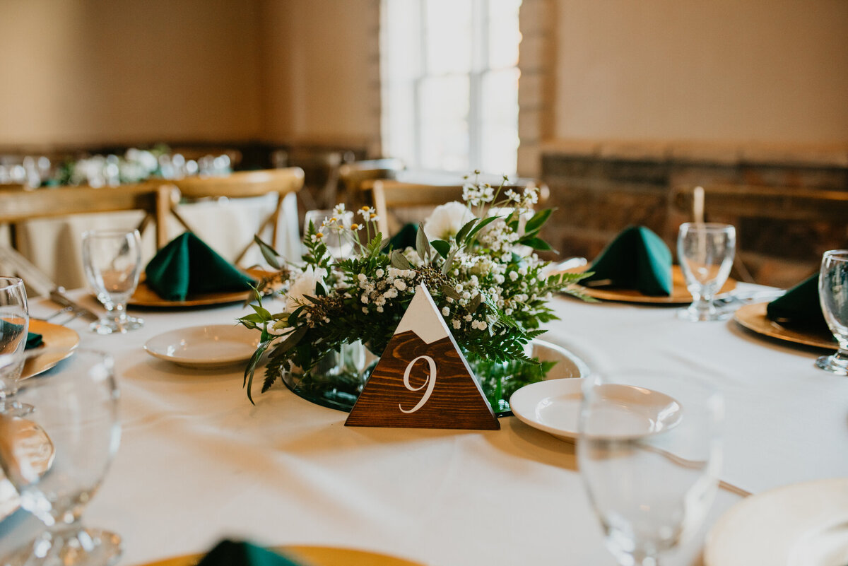 Mason + Kyliegh Wedding_ReceptionPortraits-1