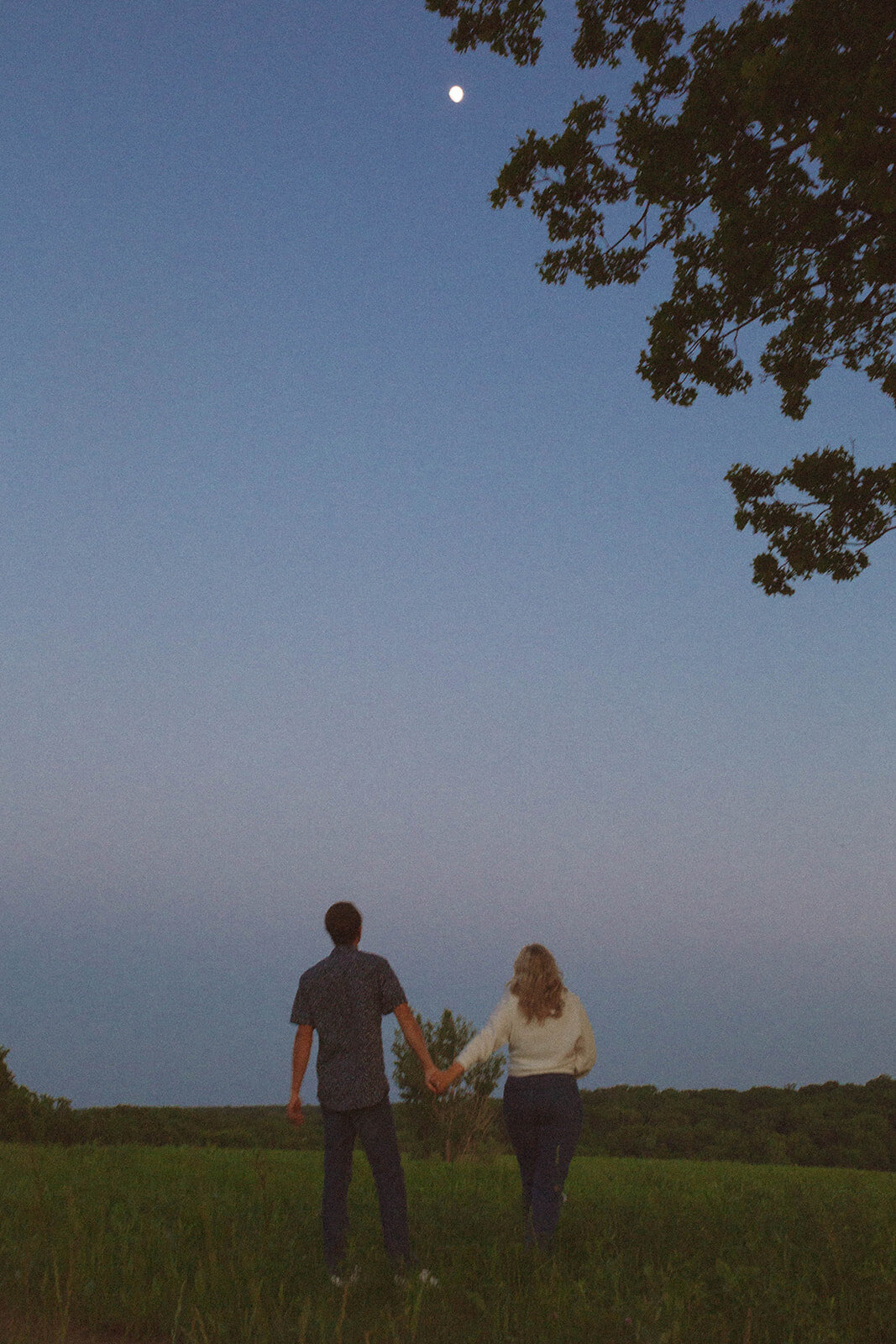 Runge-Prairie-Engagement-Shoot-Wildflowers-Missouri-240518-0197