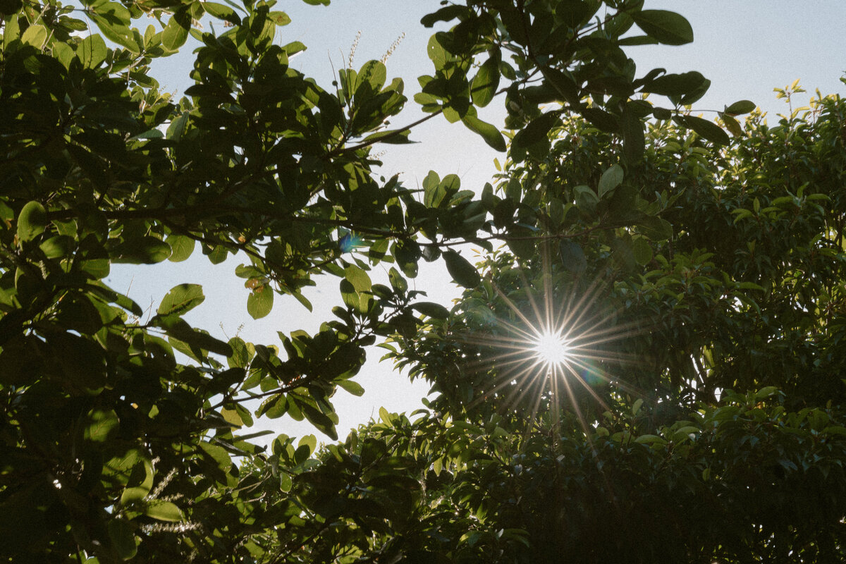 ankebi-photography-1-2