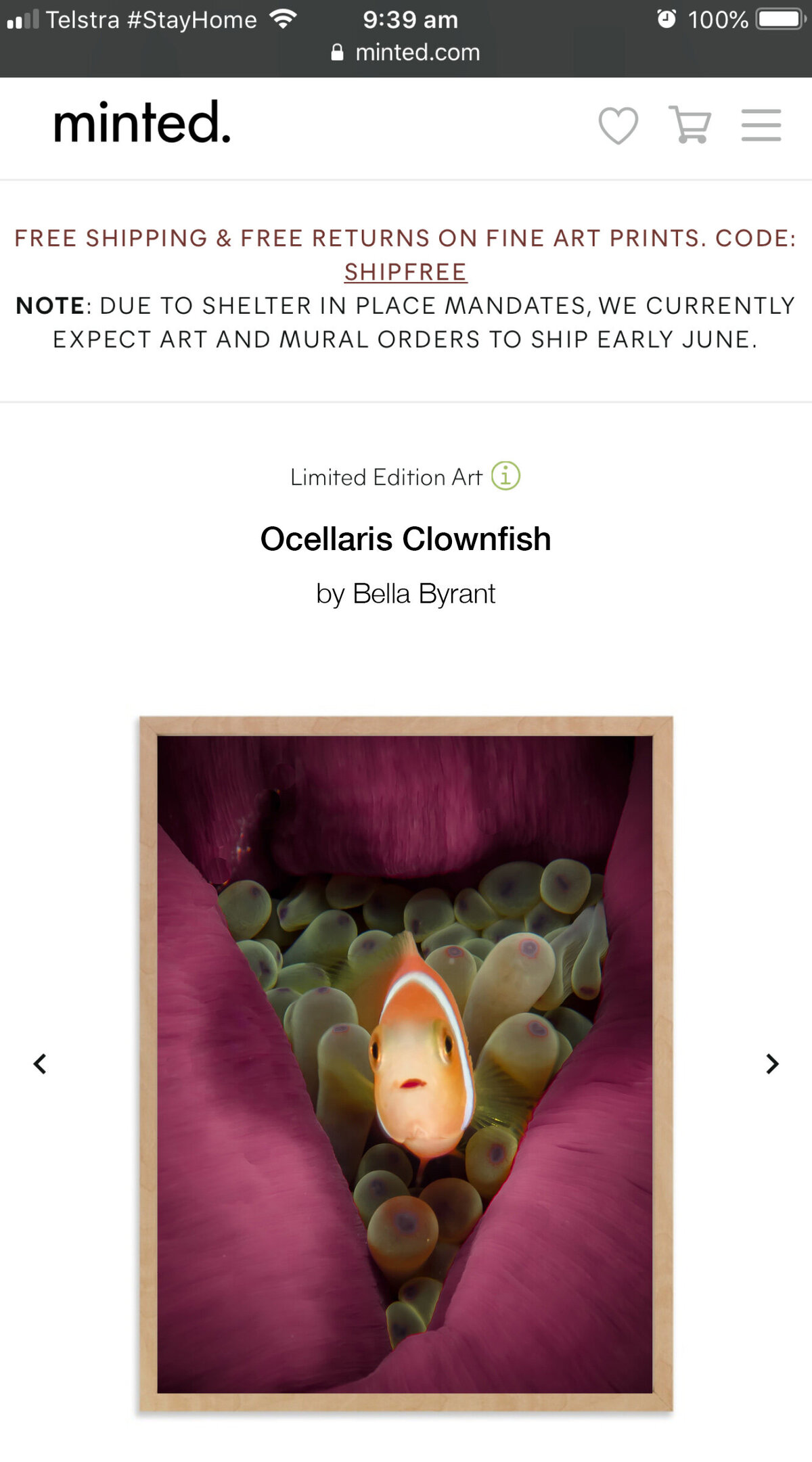 fake_shop_Mobile_Sealife_Minted03