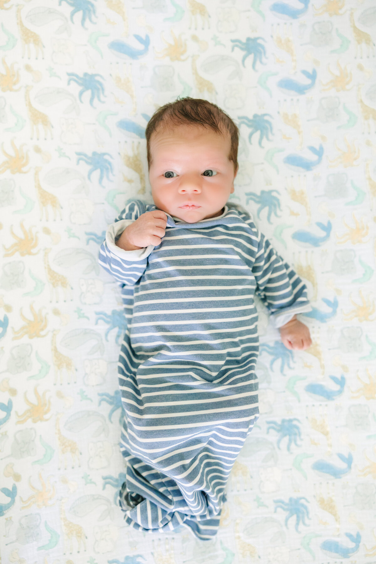 Newell Newborn - Theo-60
