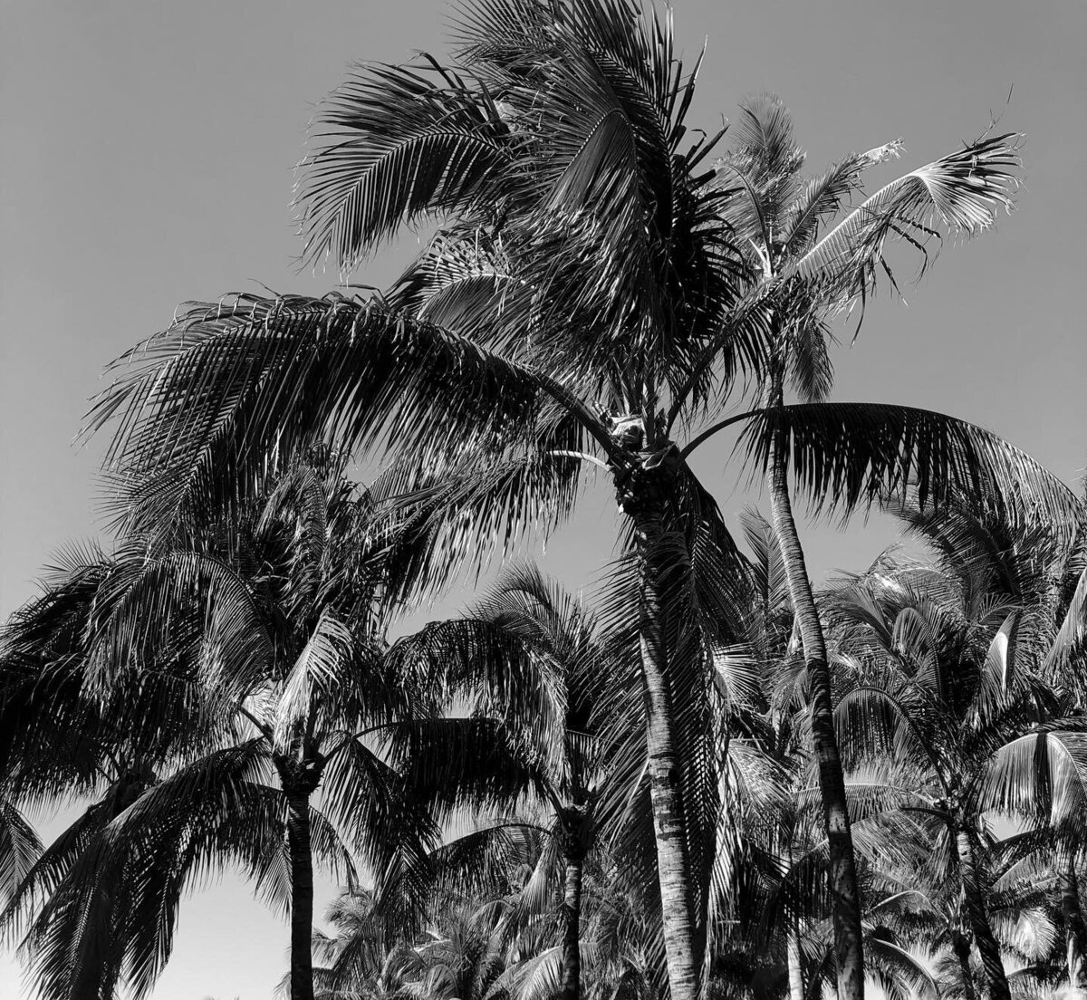 E55133F0-5AC7-4934-BCEE-88263AD82832