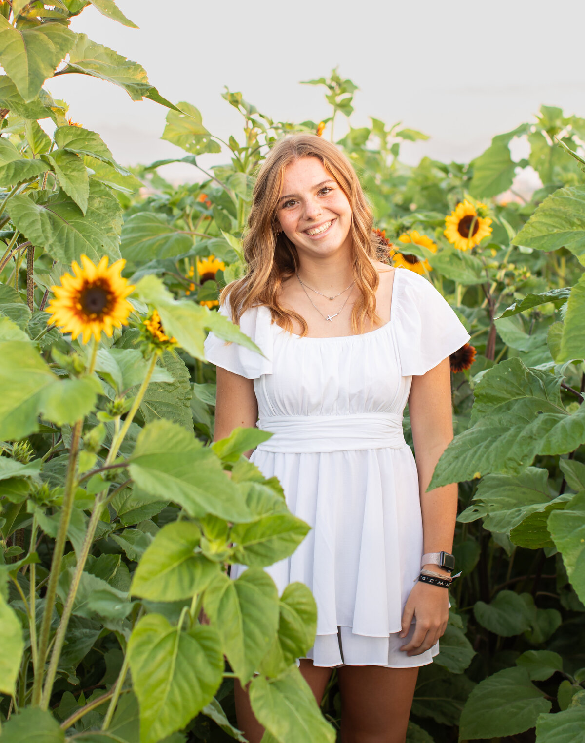 Addison sunflower shoot _0005