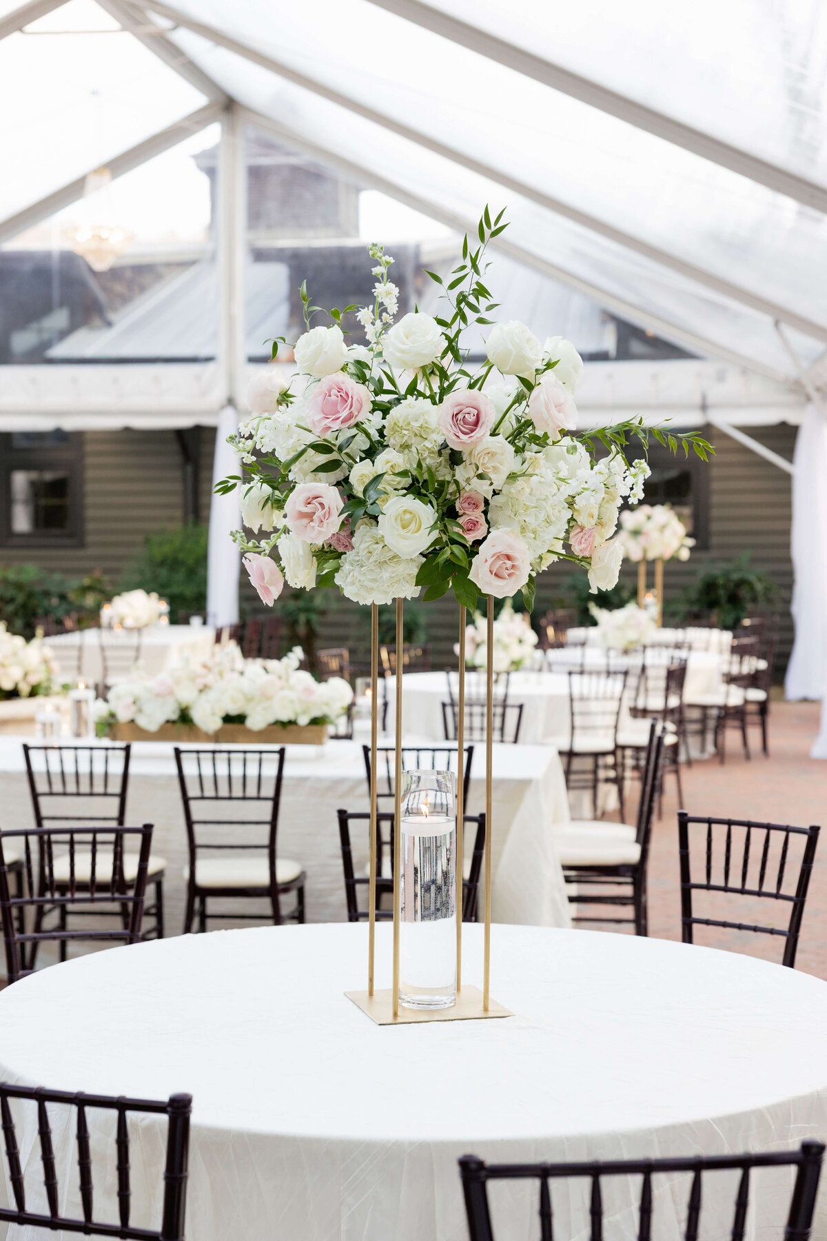 Emily Green Creative2Y5A9119