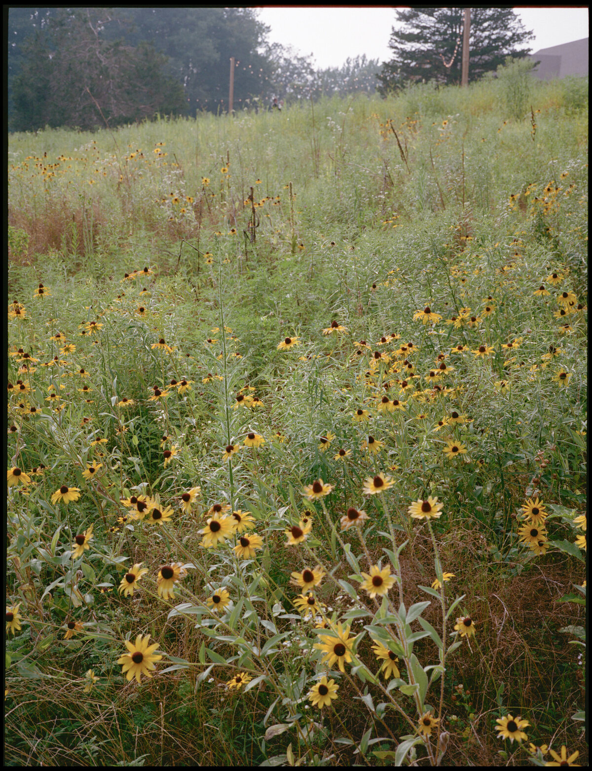 we-do-events-friends-and-neighbors-wedding20