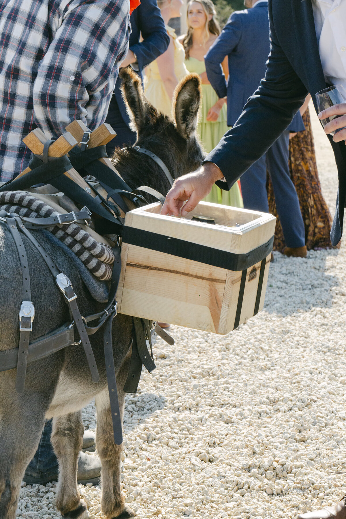 PERRUCCIPHOTO_CARMEL_VALLEY_RANCH_WEDDING_144