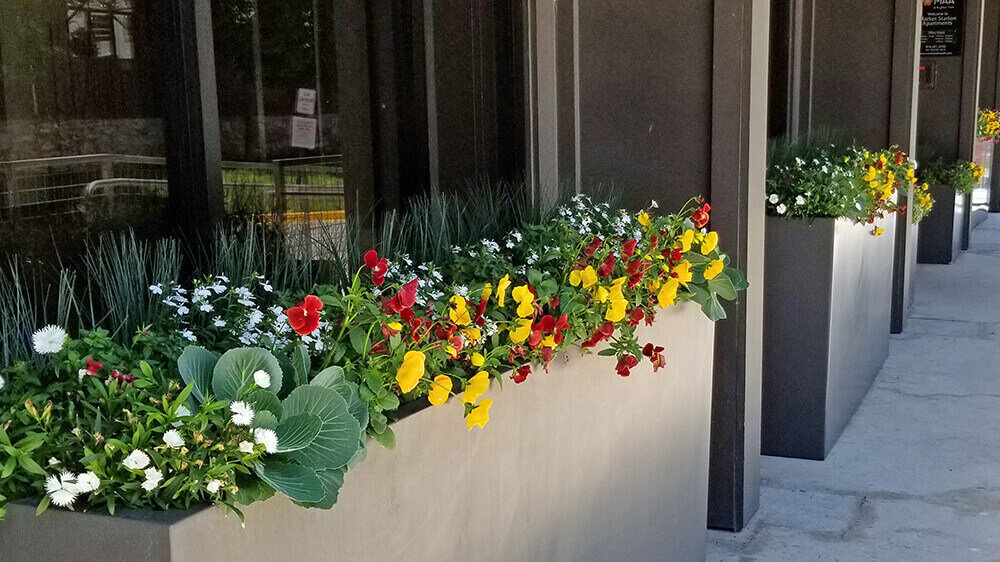 Commercial landscape company project in Kansas City: seasonal flowers showcase