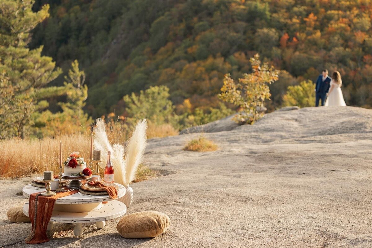 luxury-picnic-setup-4