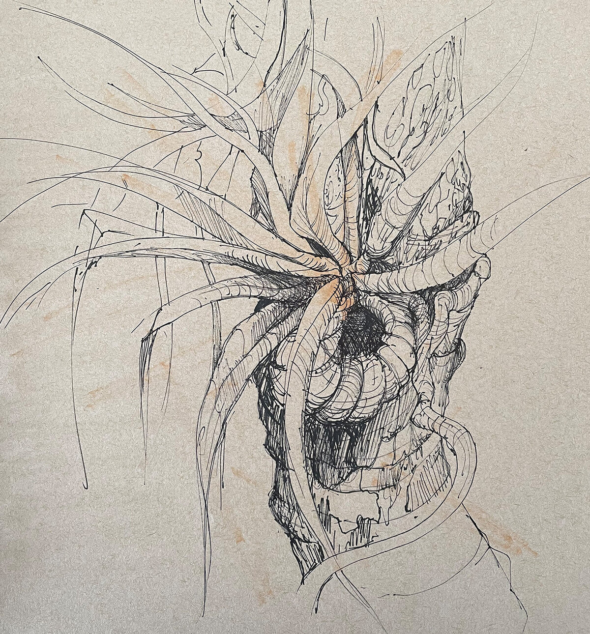 PLANT SKETCH