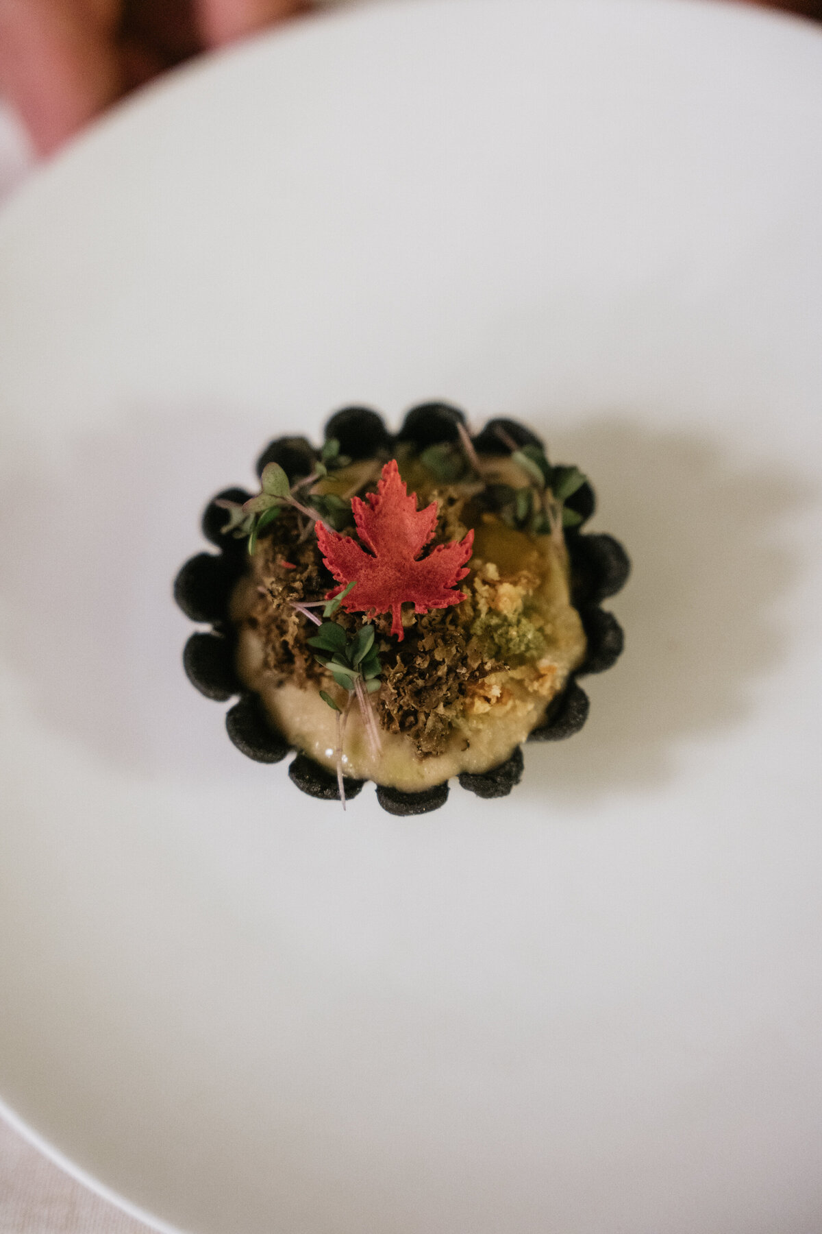 Vegan fine dining dish at sustainable wedding in Merano Dolomites