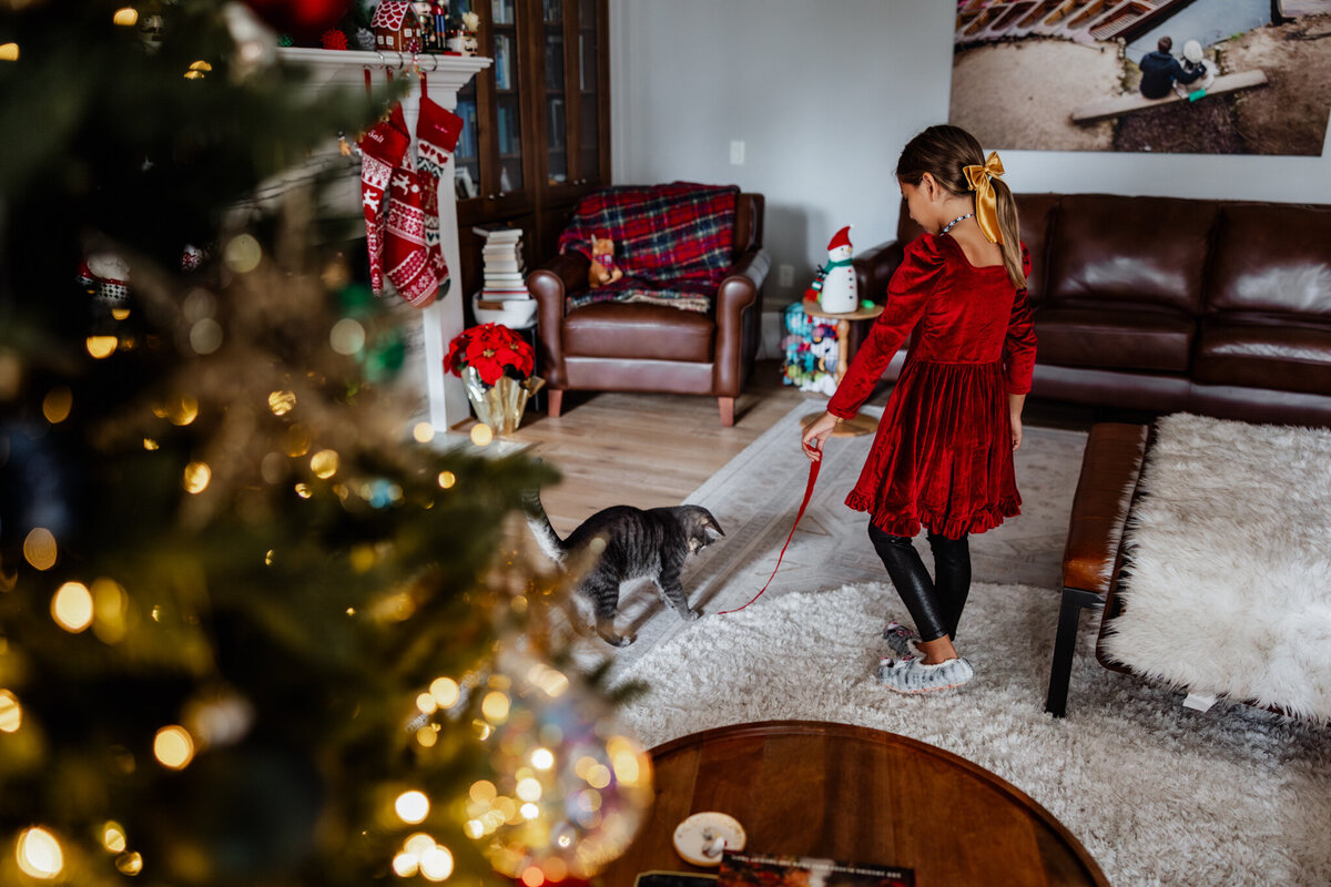 houston-christmas-mini-sessions-2024_141