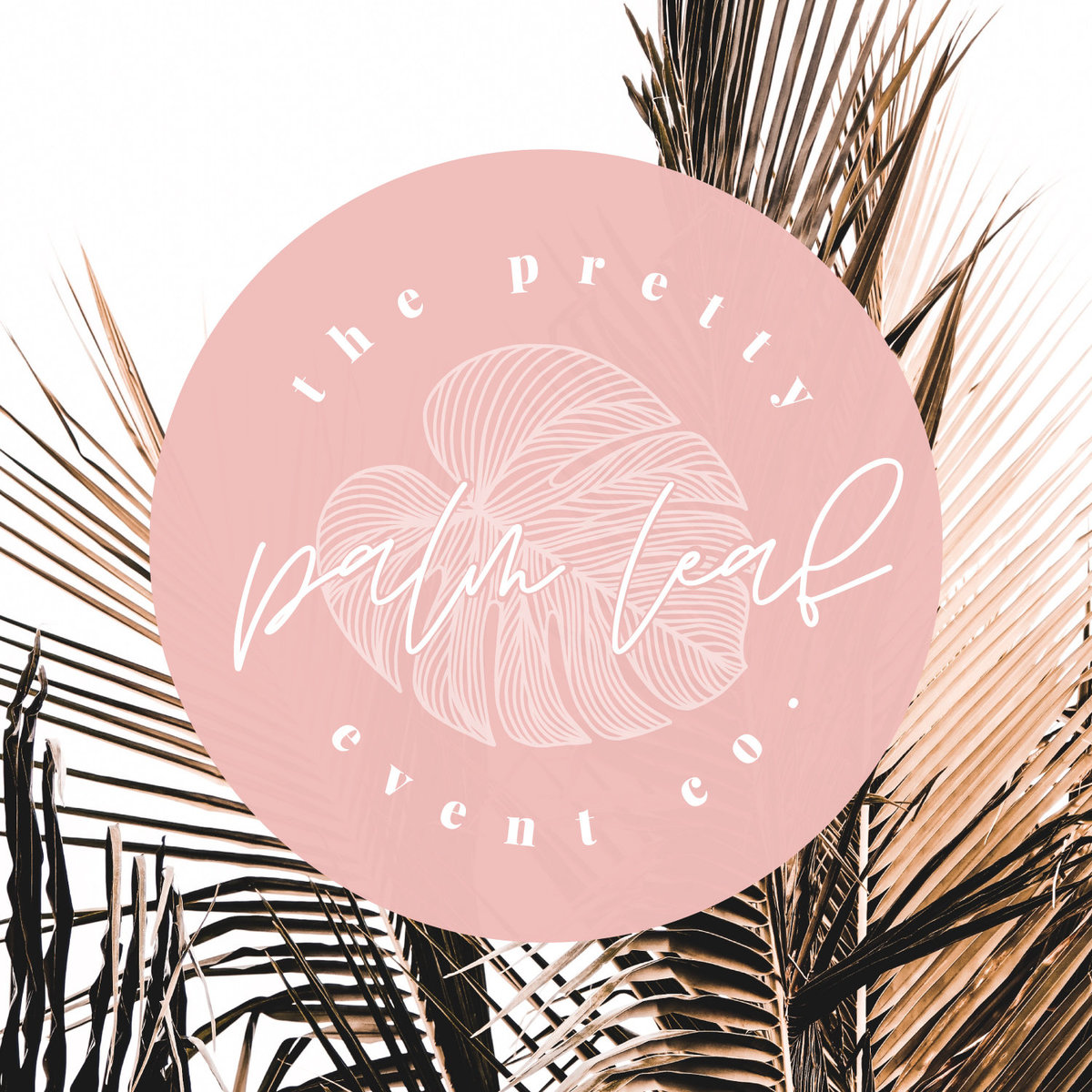 Pretty Palm Leaf-01