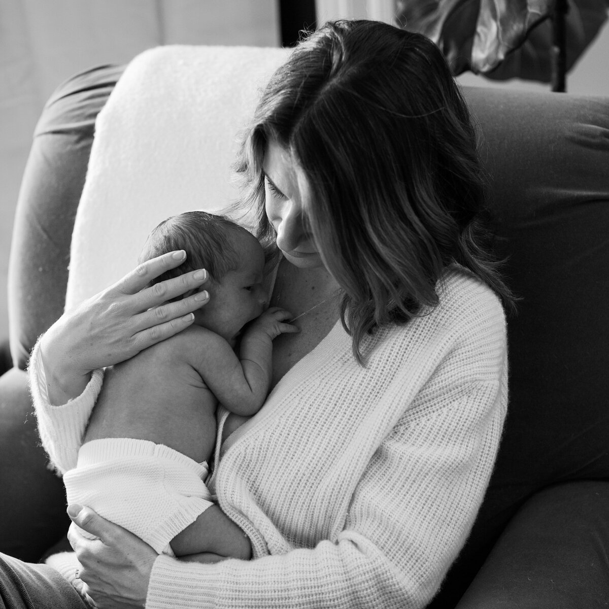 winter-newborn-photos-at-home-charlottesville-va-amy-nicole-photography-0019