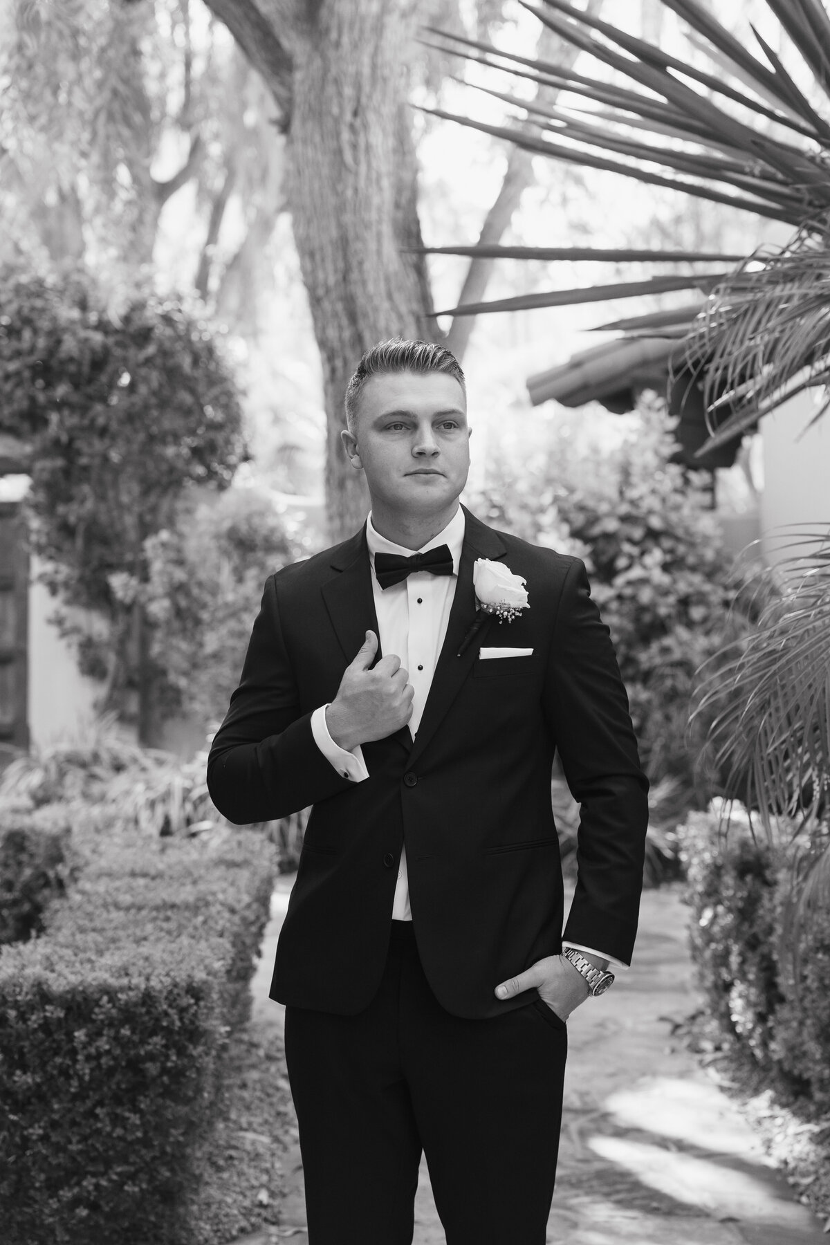 benedictsneak peeks-11