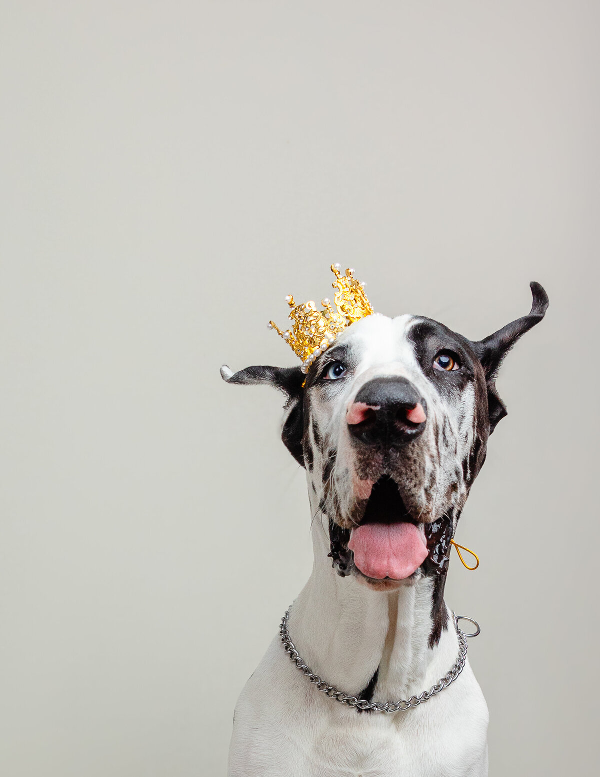 Lucky Lady Photography-4877