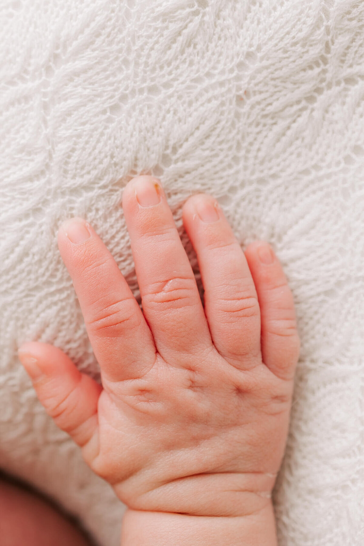 detail of hand of newborn baby
