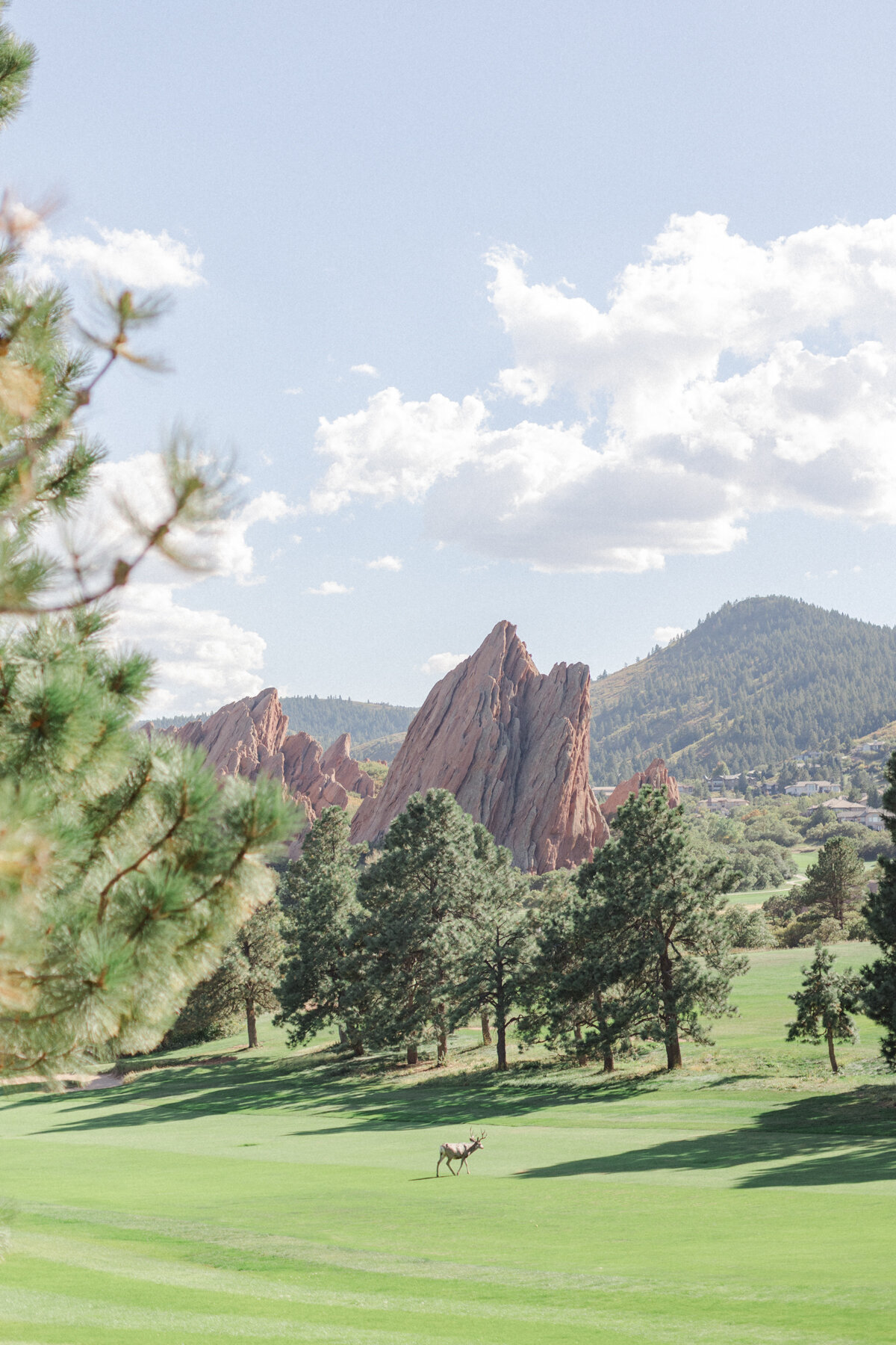 Arrowhead_Golf_Course_Wedding_MaryAnnCraddockPhotography_0071