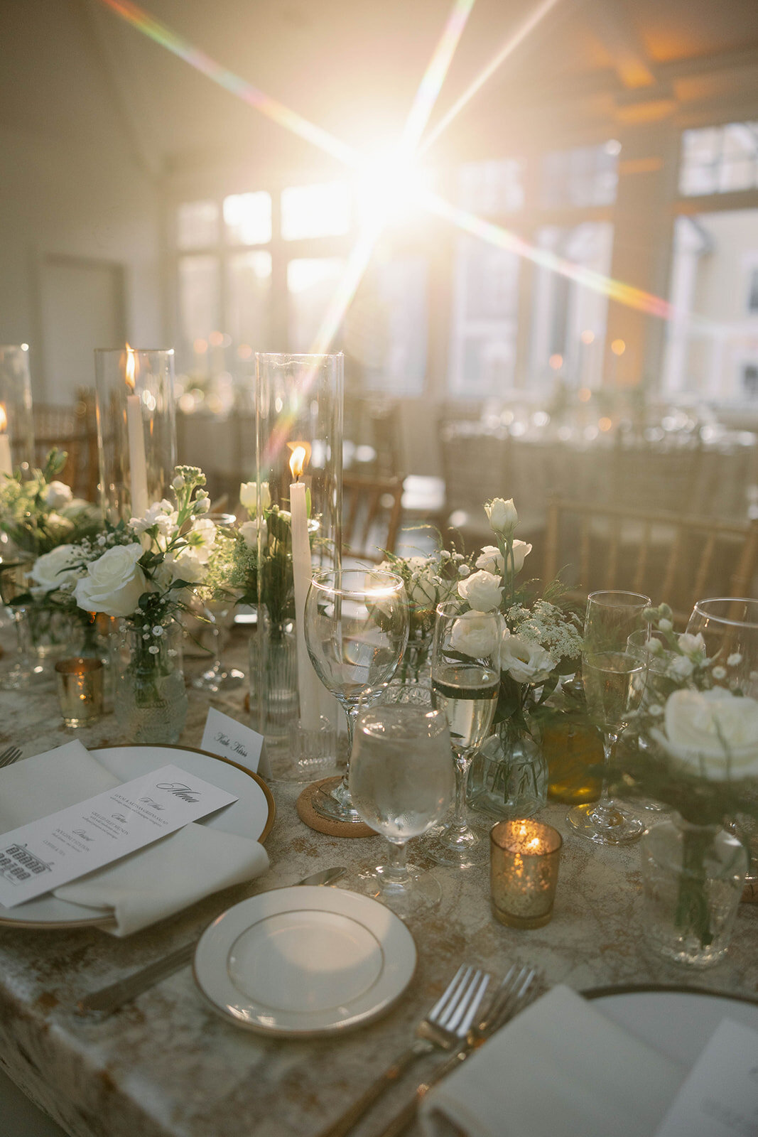 jackiesteele-142_websize