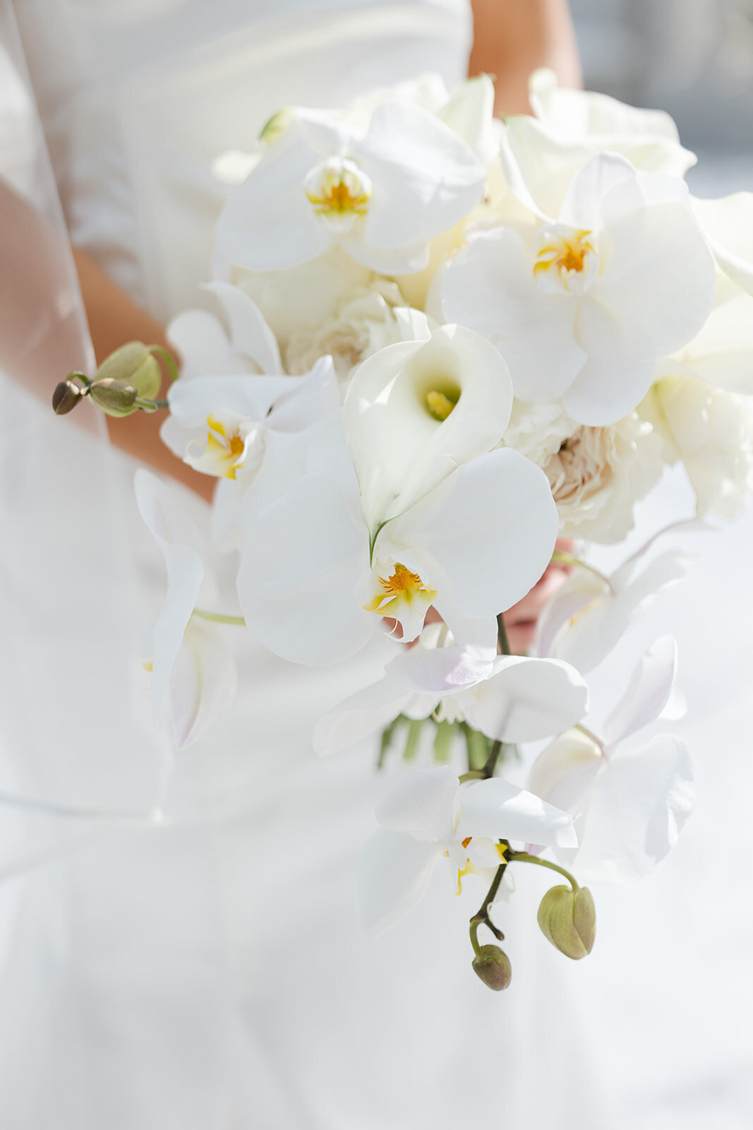 the-cannons-photography-cleveland--museum-of-art-wedding-photographer-59