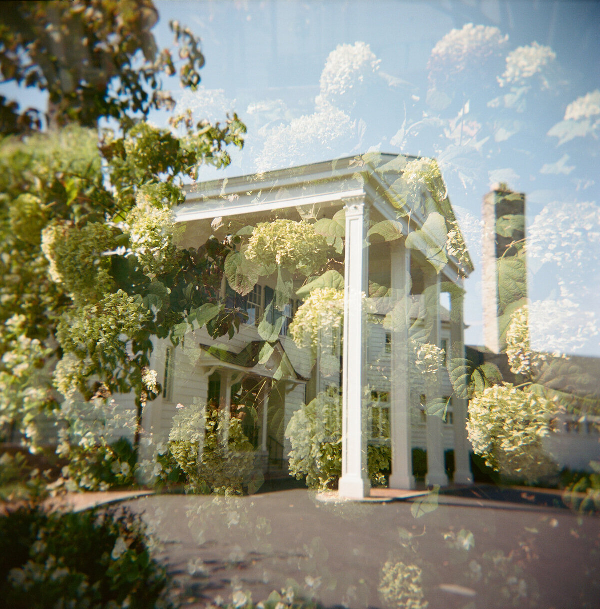 Sophia+Jake+Belle+Meade6