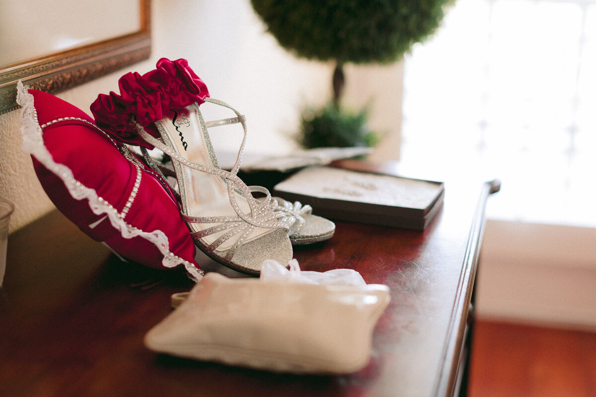 san_antonio_austin_texas_wedding_photographer-Gardens-Cranesbury-View-LnG-1009