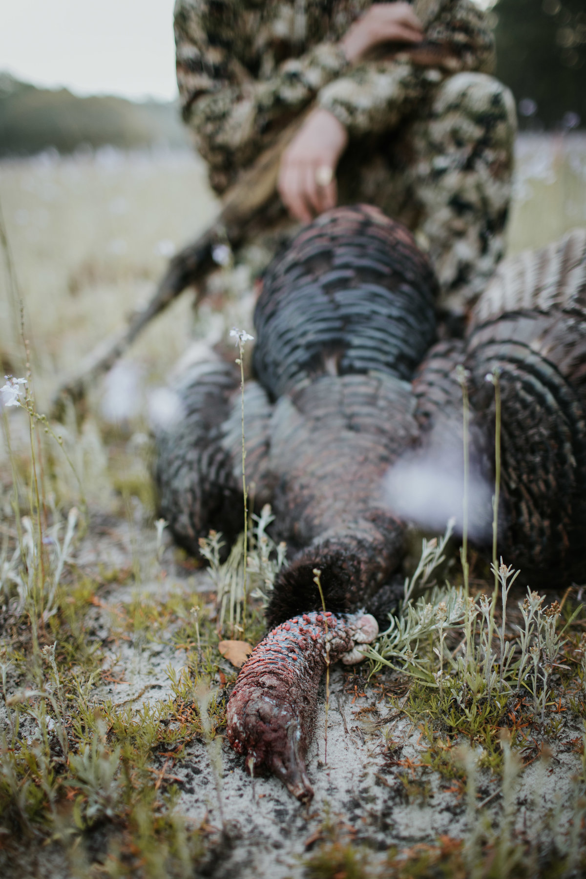 Charleston-sc-turkey-hunting-lifestyle-photography-33