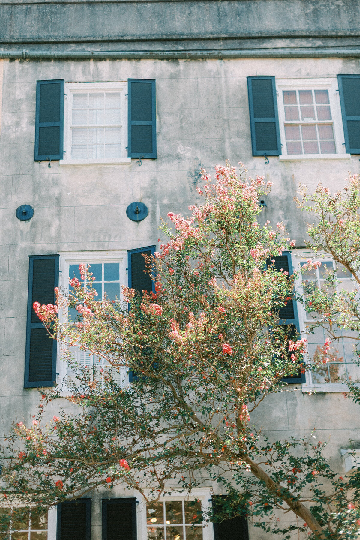 charleston-south-carolina-engagement-session-historic-district-hayley-moore-photography-7