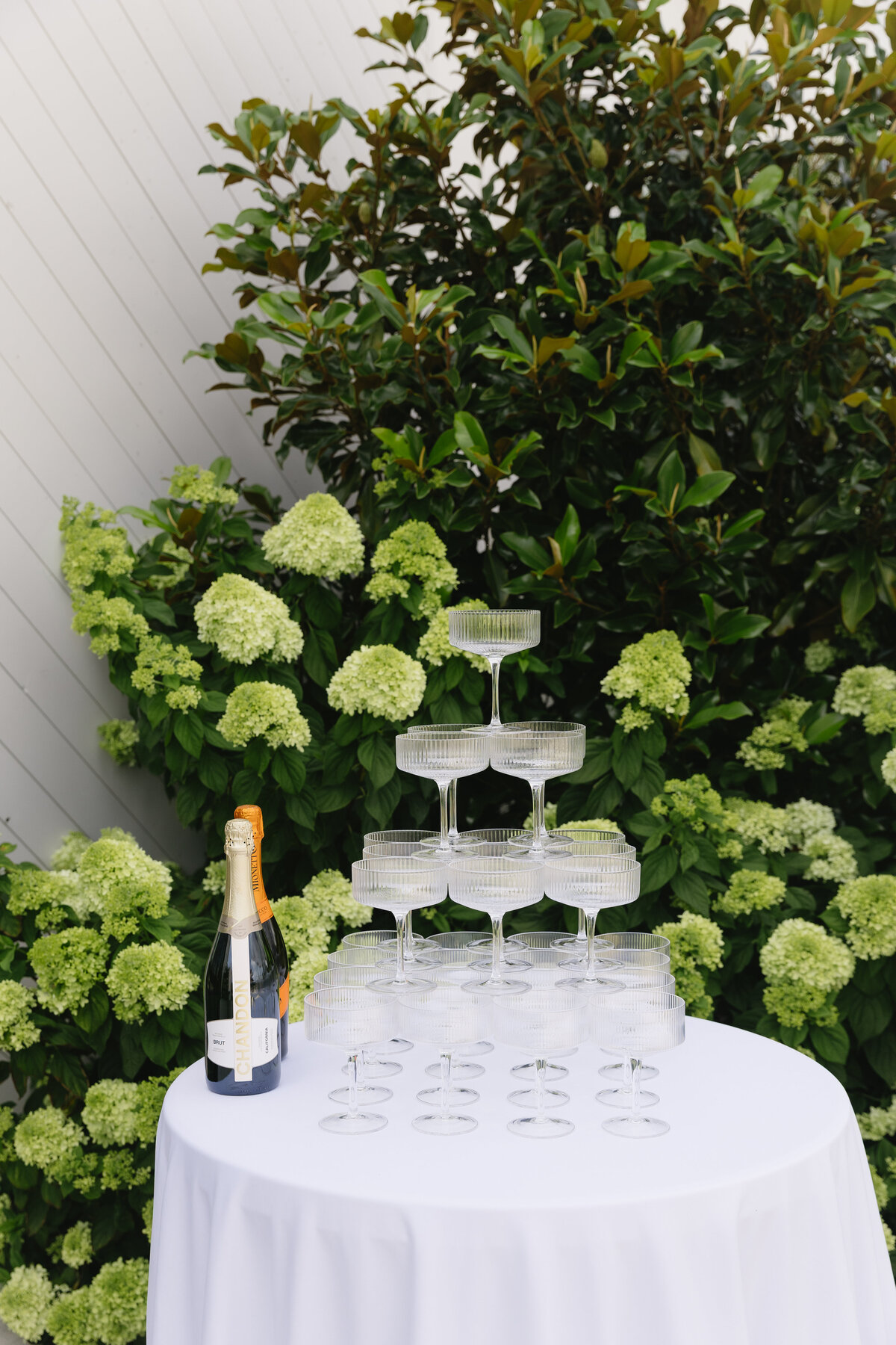 WhiteIronRidge-AlyssaGHenryPhotography-157
