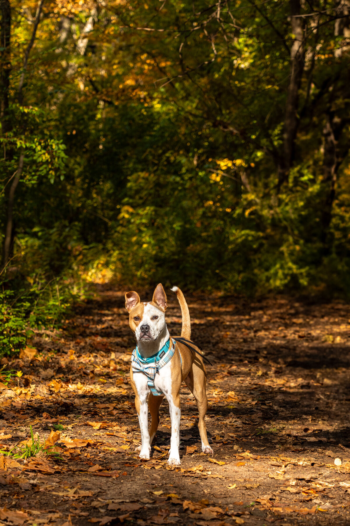 Ronald_003_2024