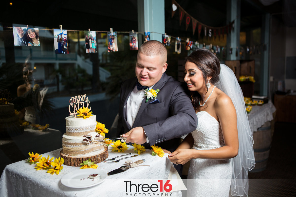 Bride and Groom cut the wedding cake