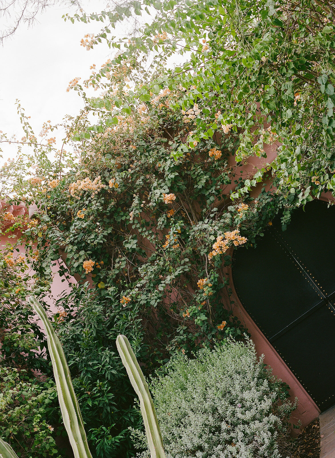 Faye-Fern-Creative-Sands-Hotel-Wedding-KristaKPhotos-Venue-Film-03