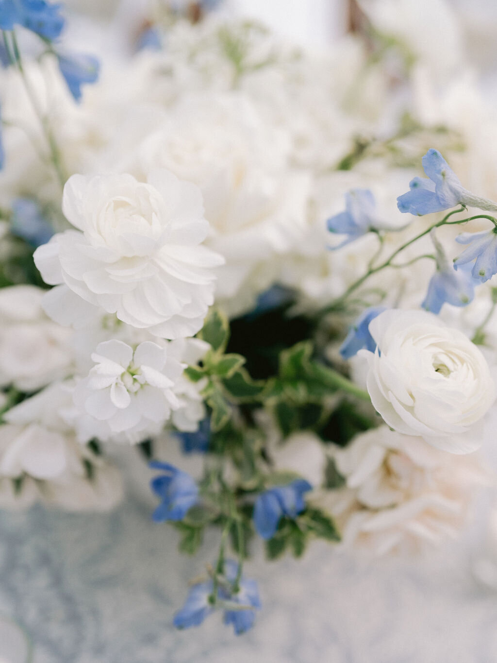 NikkiSanterre_EastCoastLuxuryWeddingPhotographer_CliftonInnWedding_Sky&Ryan-104