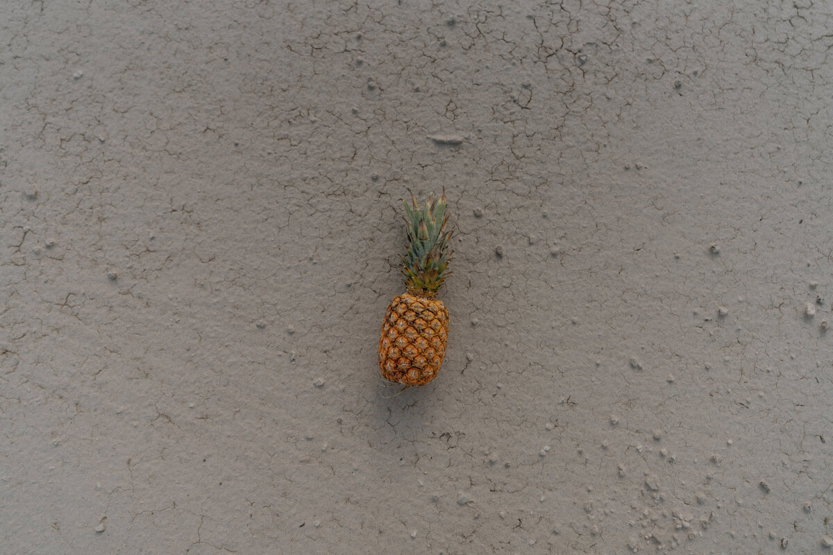 The Pineapple Wagon overlanding kansas