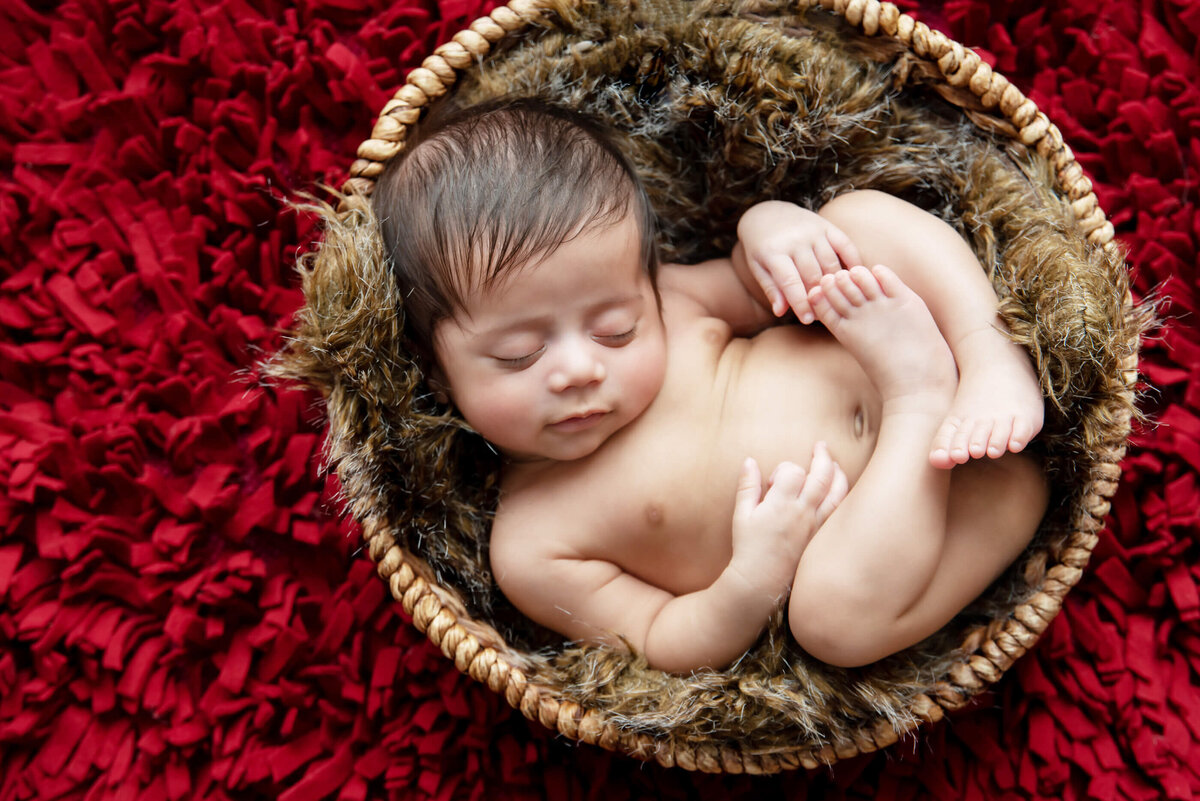 newborn baby boy in a bowl on a red rug for his newborn photography session in Burlington, Ontario
