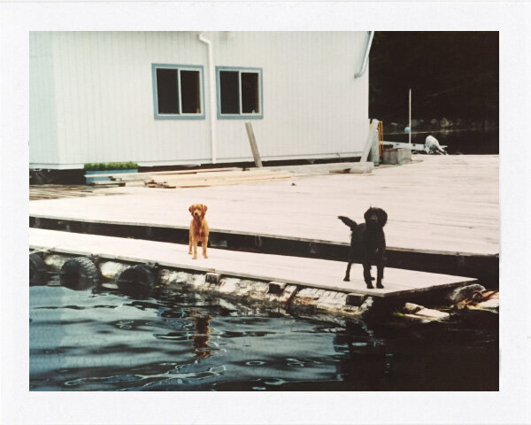 About_CorinneGraves_1195
