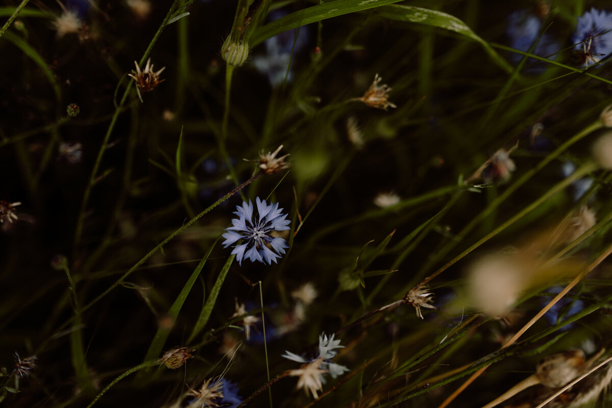 LaJolaPhotography_Lisanne_09072024-101