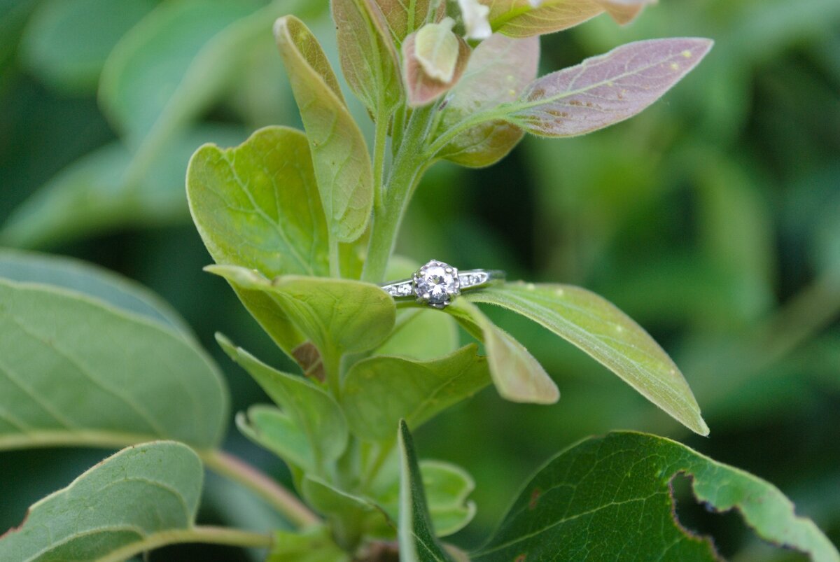 292604920_1968918113315741_6352498471901192759_n