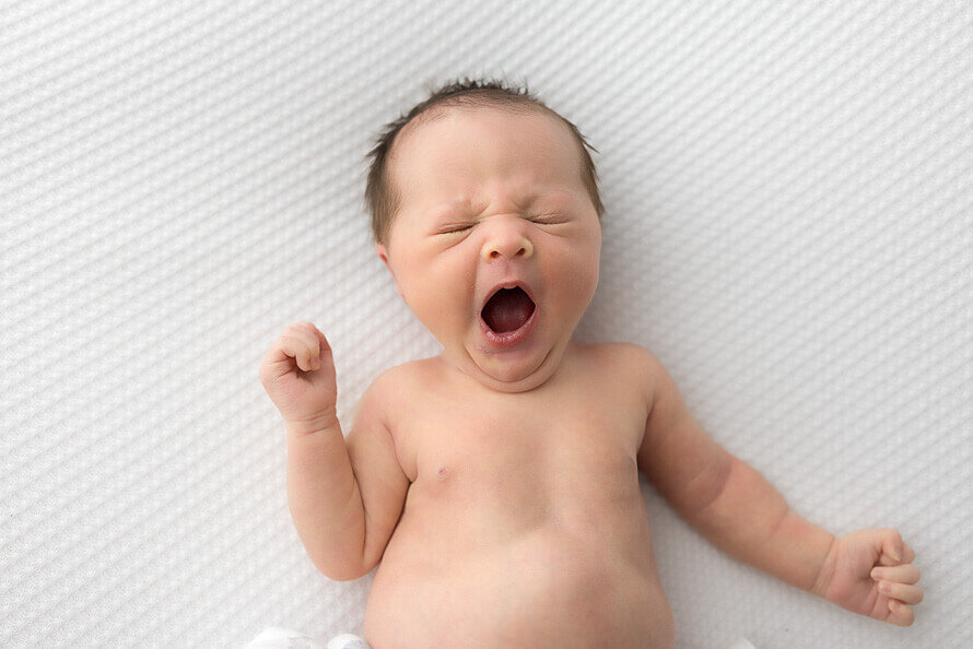 Baby yawns during his newborn photo session.