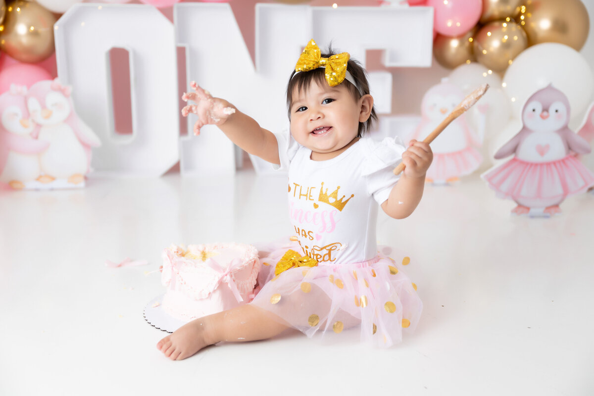 Chicago-Cake-Smash-Photographer-5003