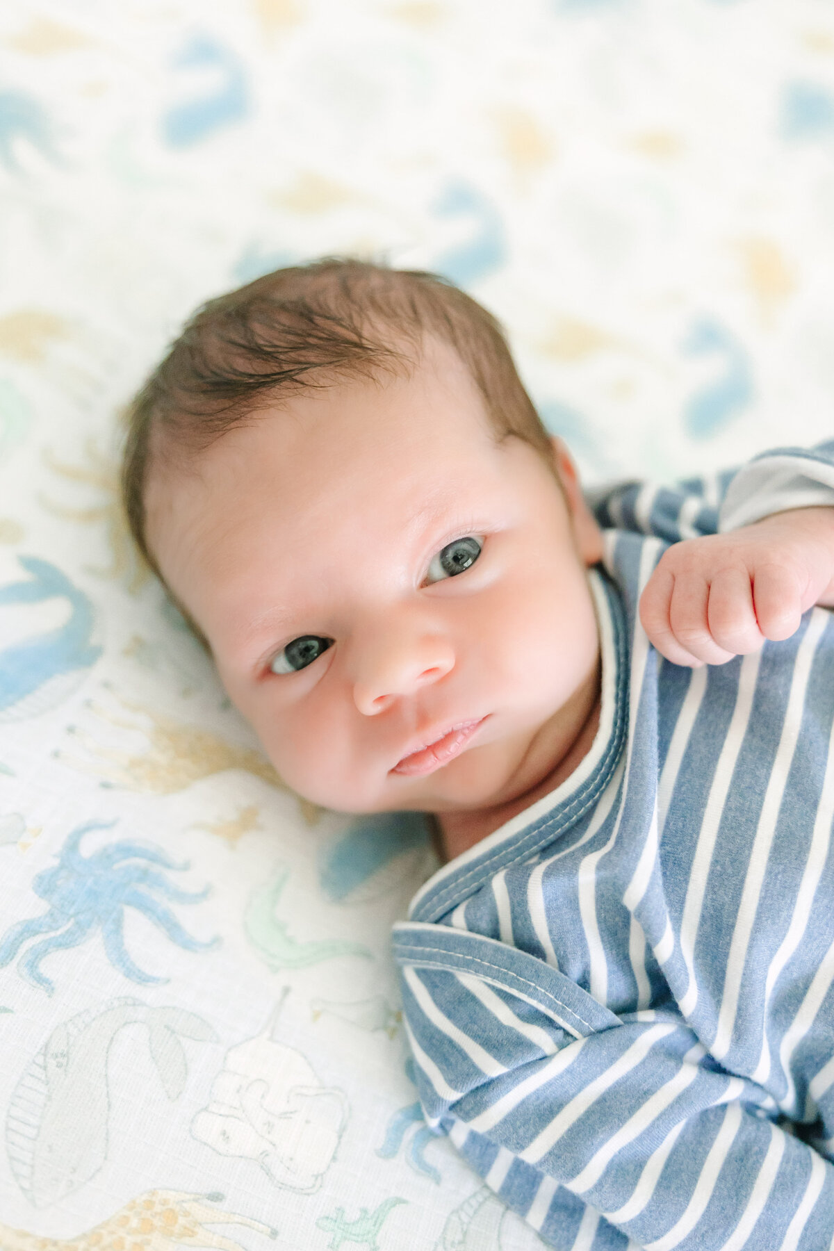 Newell Newborn - Theo-54